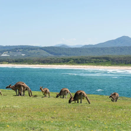 Организация приключенческих туров