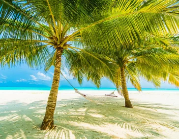 День 6-7
Отдых на The Palm 

