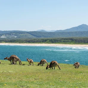 Организация приключенческих туров